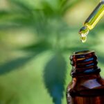 CBD Oil