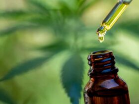 CBD Oil