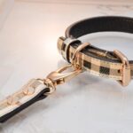 Dog Collar