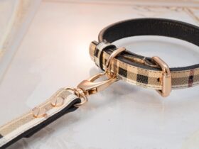 Dog Collar