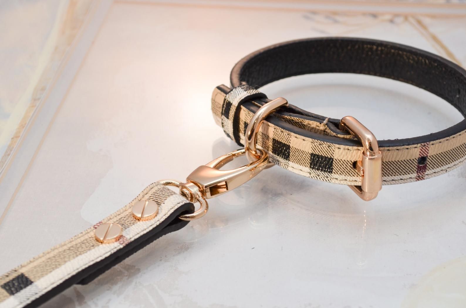Dog Collar
