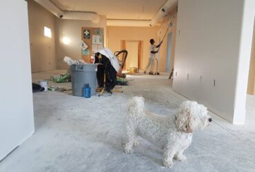 Professional Contracting Company