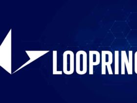 Loopring for Traders