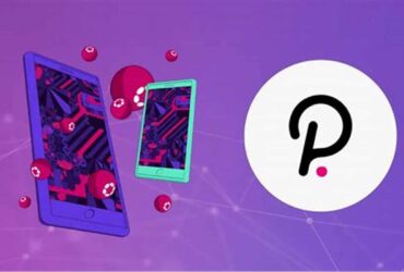 Wallet Options