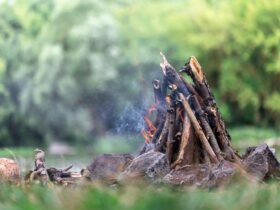 Firelighters vs Kerosene