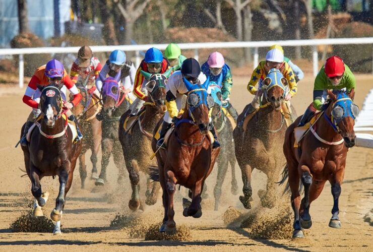 Horse Racing